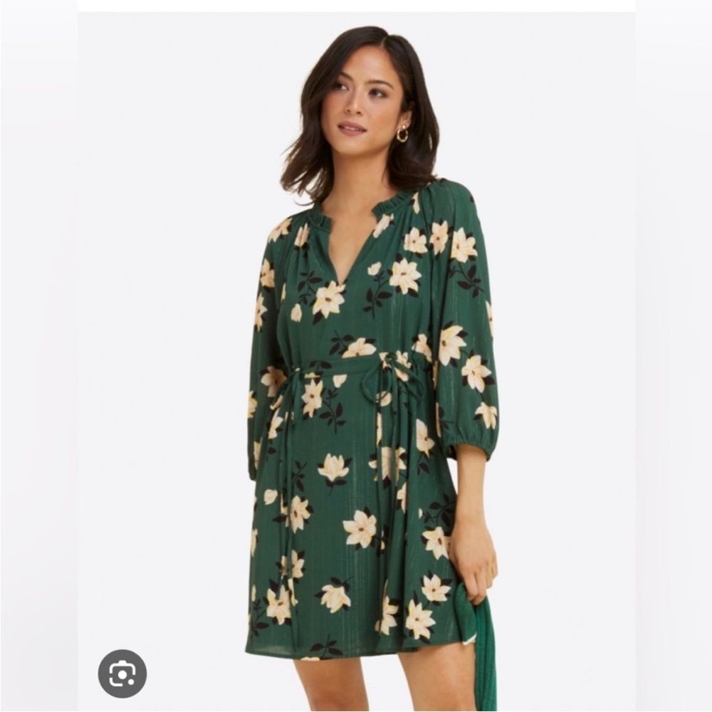 Draper James Kellie Babydoll Dress in Emerald Shimmer Magnolia Print 1X NWOT
